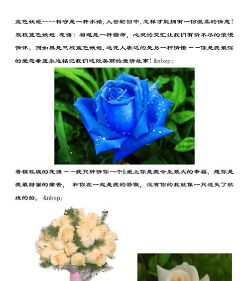 宽口径玫瑰花怎么养好看？如何使宽口径玫瑰花更加美观？