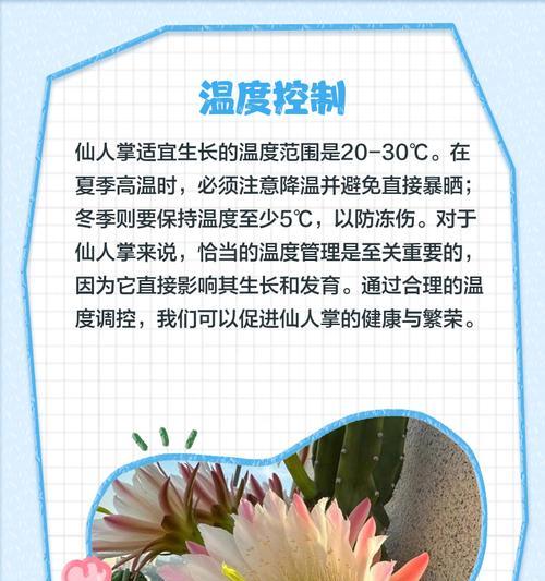 水泥柱仙人掌如何养护？有哪些养护技巧？