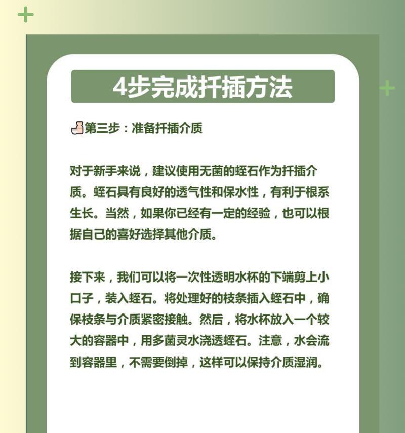 玫瑰花的繁殖方法有哪些？
