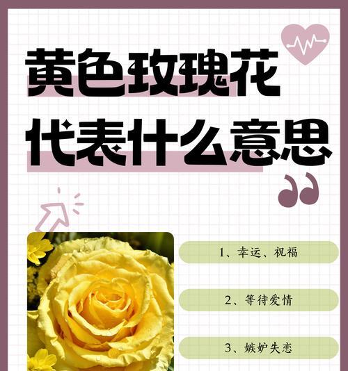 哪种花的花语代表深深的爱？