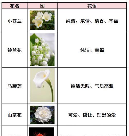 哪种花的花语代表深深的爱？