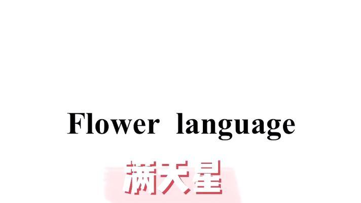 满天星花语即使做配角是什么意思？