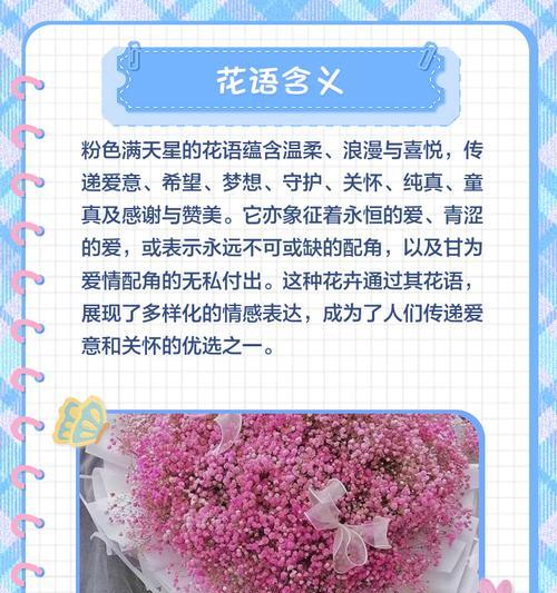 粉玫瑰白色满天星花语代表什么？