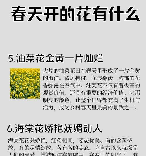 桃花与樱花的花语有何不同？桃花和樱花代表什么？