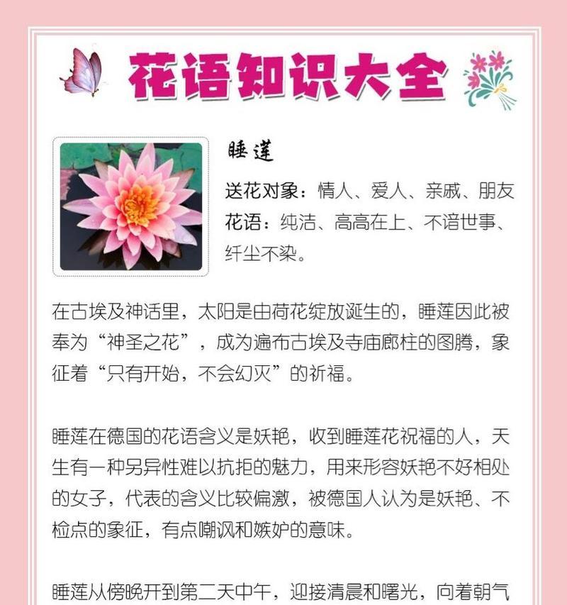 每个月份的出生花语是什么？出生花语有何含义？