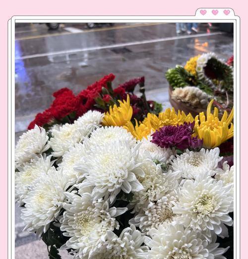 泉州的花语是什么？它在花语中代表了什么？