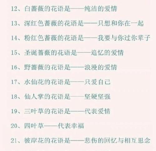 花卉大全及其花语是什么？如何理解每种花的花语？