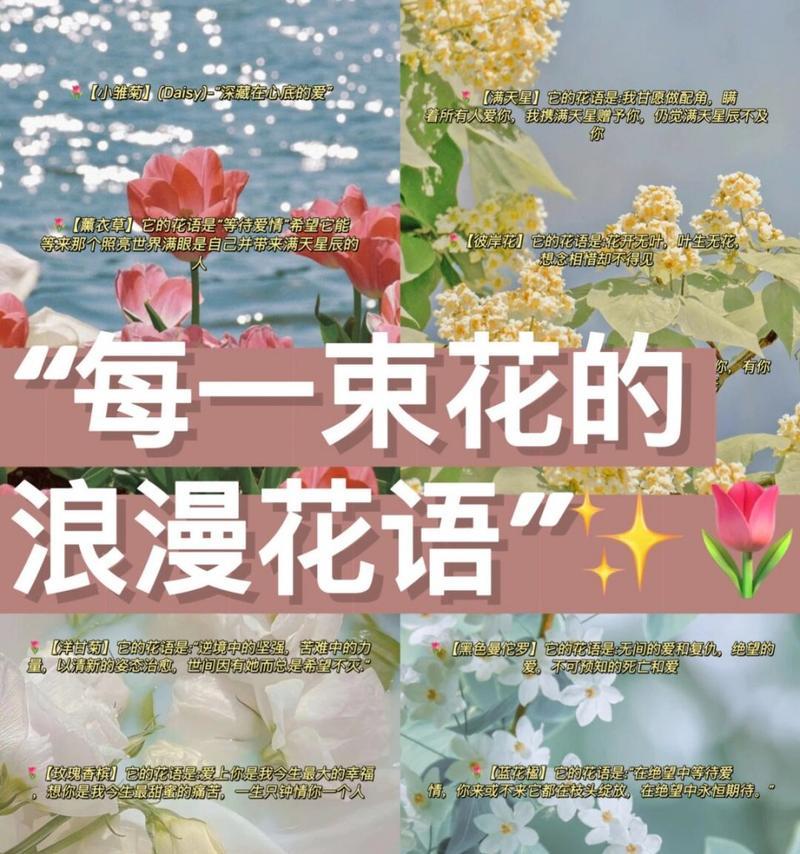 花卉大全及其花语是什么？如何理解每种花的花语？
