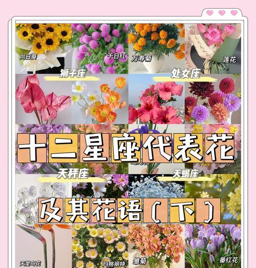火鹤的花语是什么？它在花语中代表了什么？