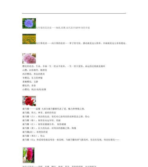 莪术花语的含义是什么？如何正确理解？