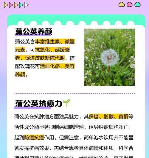 蒲公英花语是什么？蒲公英的含义有哪些？