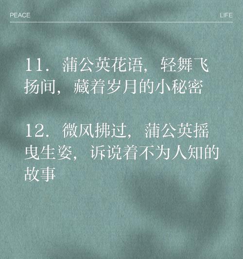 蒲公英花语是什么？蒲公英的含义有哪些？