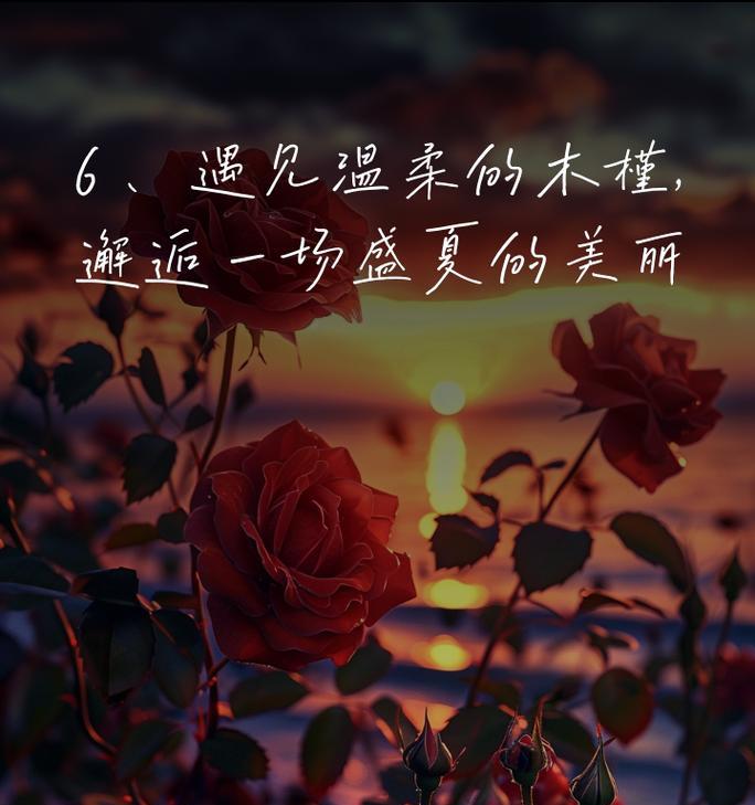 哪种花语代表初恋？初恋的花语有哪些？