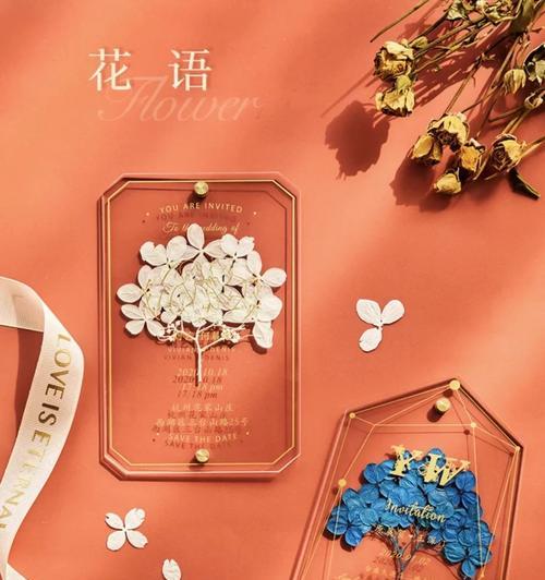 巴西鸢尾粉色代表什么花语？寓意何在？