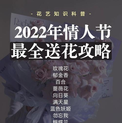 菊花语大全寓意有哪些？如何表达情感？