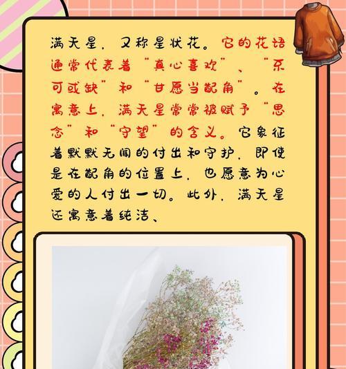 菊花语大全寓意有哪些？如何表达情感？