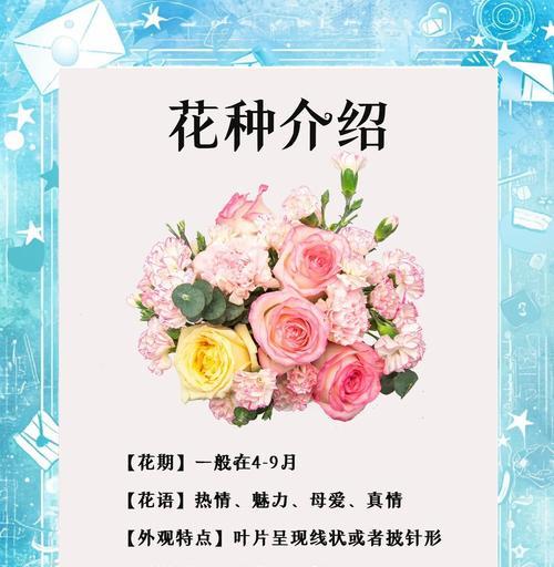 康乃馨的花语和品种有哪些？代表什么意义？