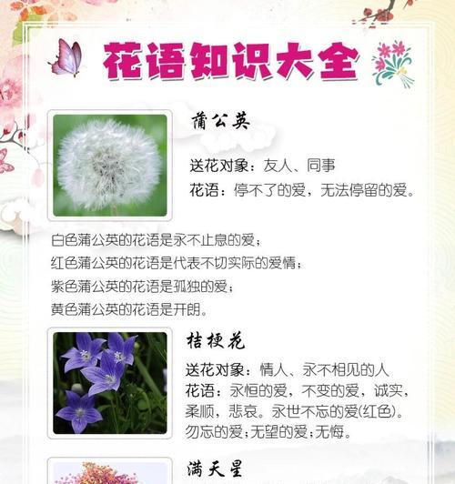 花语中颜色代表什么？有哪些特别含义？