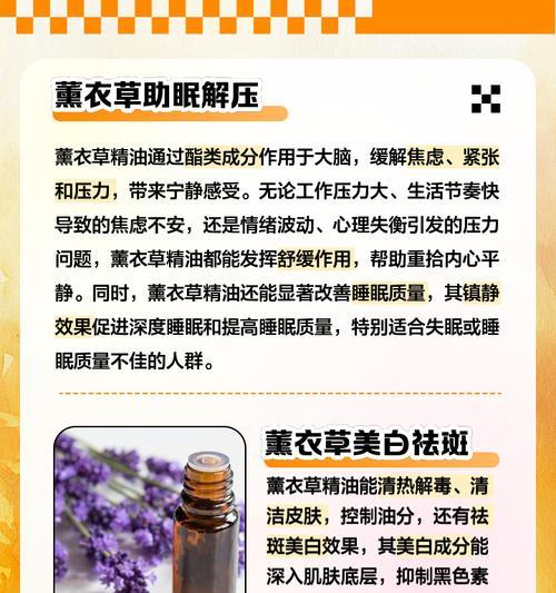 薰衣草花语与故事是什么？它有什么特别含义？