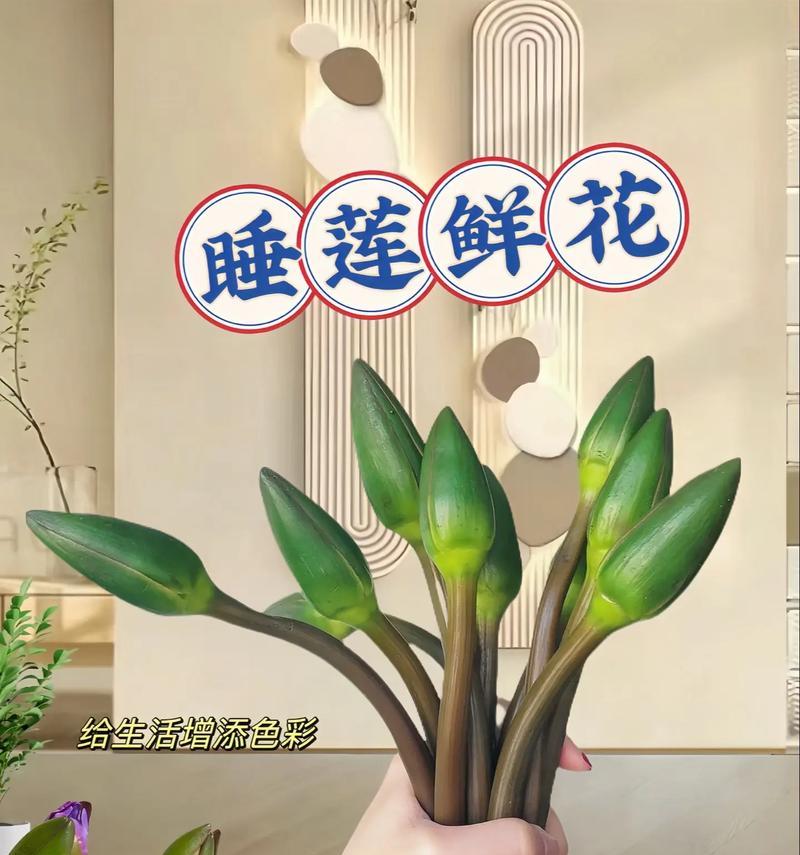 甘蔗插花的花语是什么？它有什么特别的意义？