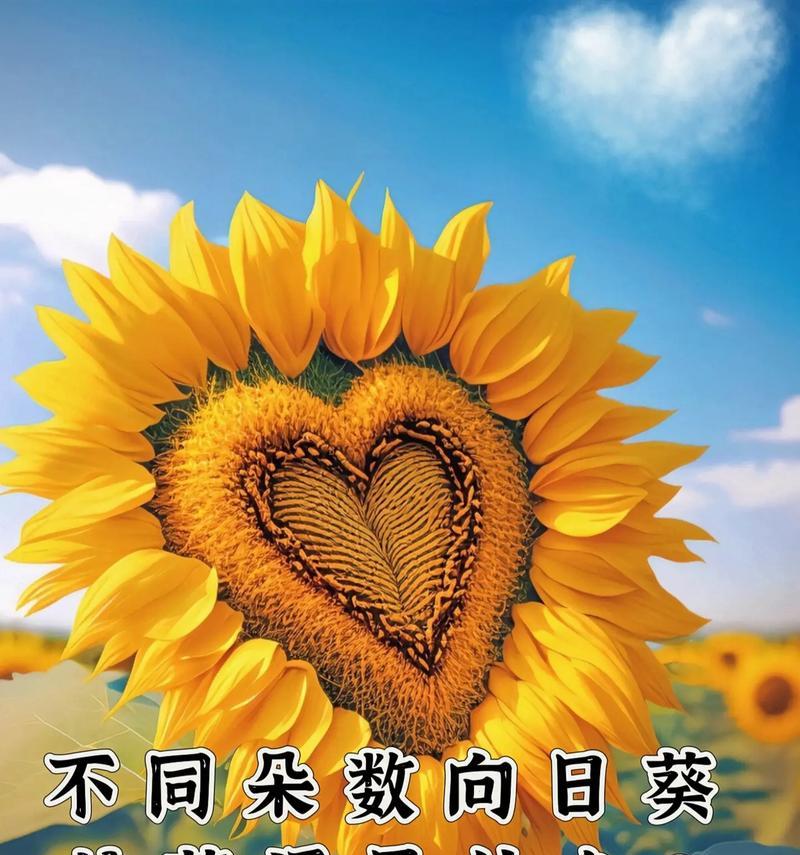 不同颜色的花语有哪些不同？它们各自代表什么？