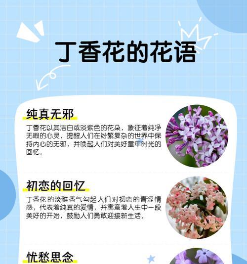 铜山阿魏的花语寓意是什么？它象征着什么？