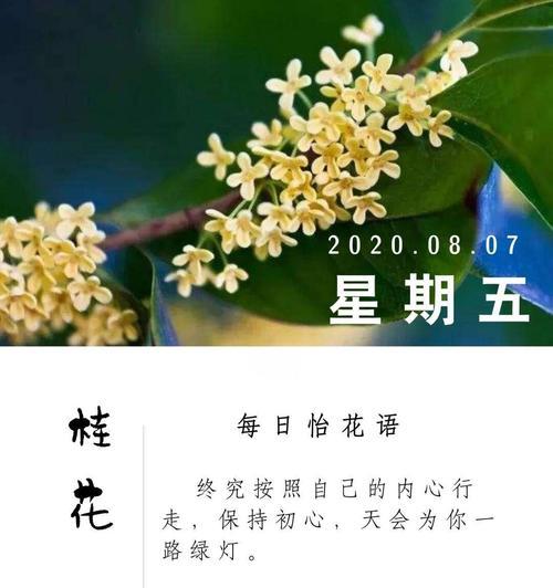 桂花的花语有哪些？桂花花语有何特别之处？