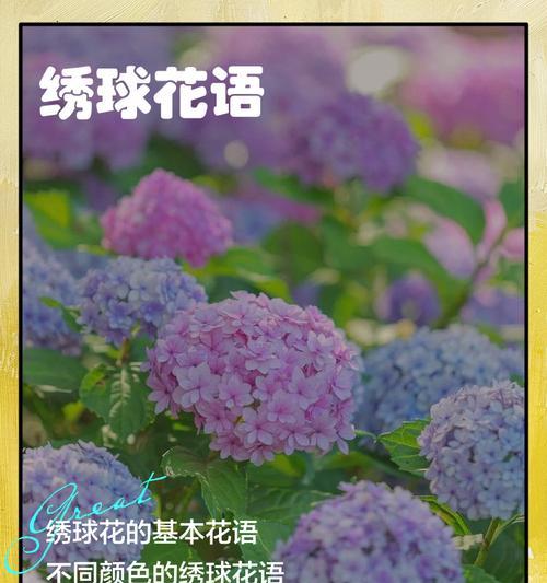 暗恋生日的人花语是什么？如何用花语表达暗恋？