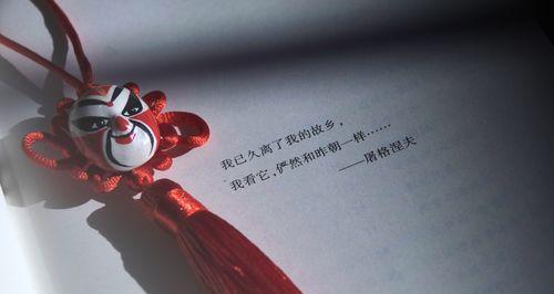 红袖代表的花语是什么？红袖的寓意有哪些？