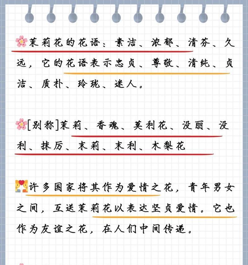 尊敬代表的花语是什么？尊敬的寓意有哪些？