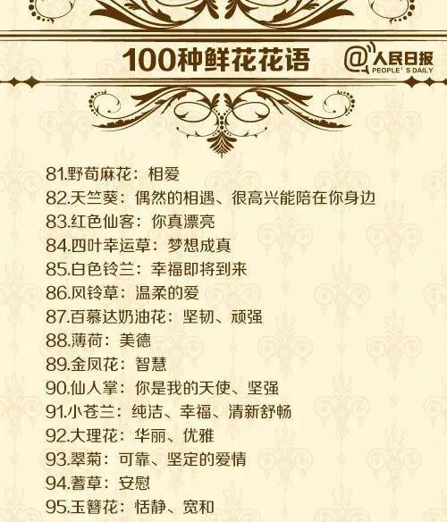 花都的花语代表了什么？