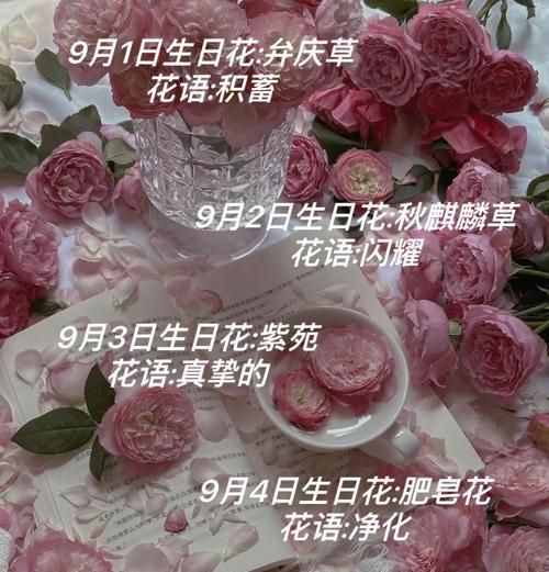 哪种花语最适合送给朋友？