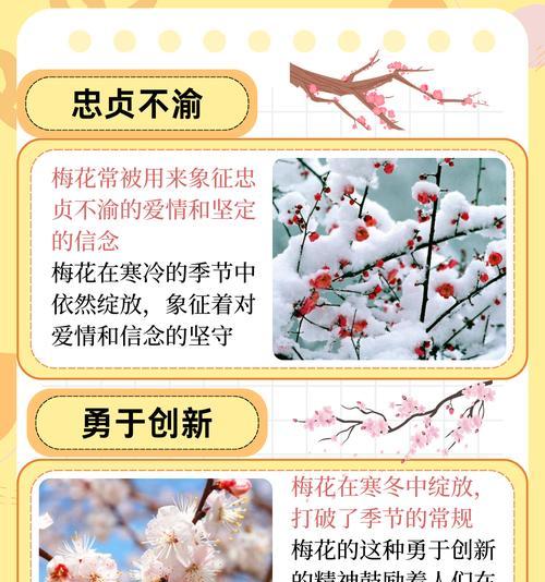 梅花的花语代表了什么？