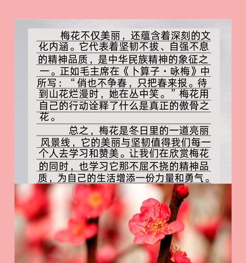 梅花的花语代表了什么？