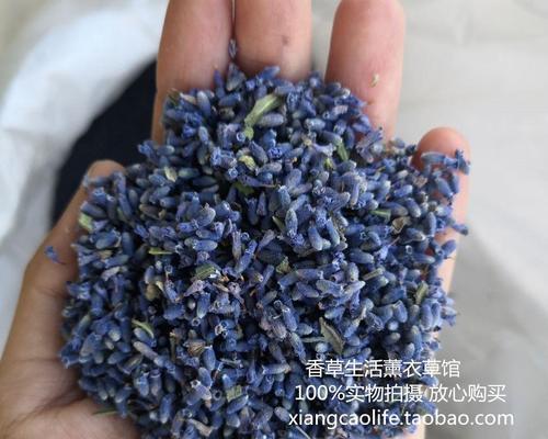 薰衣草干花的花语有何特别之处？