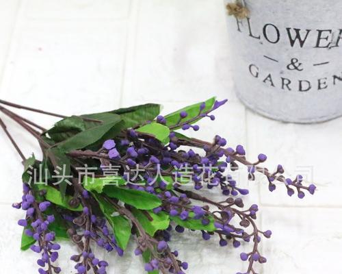 情人泪的花语代表了什么情感？