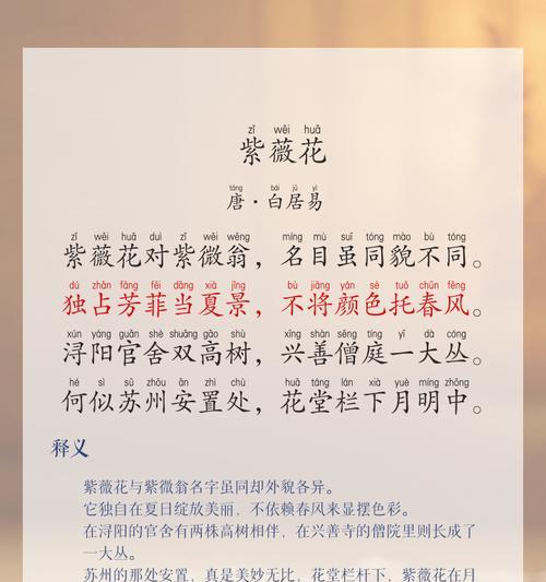 紫薇花的花语及其深层意义是什么？