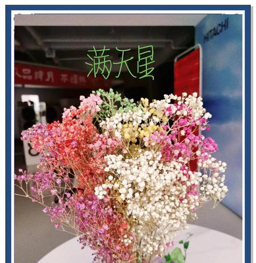 满天星的花语是什么？如何用满天星表达情感？