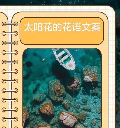 花草的花语有哪些？如何理解各种花草的含义？