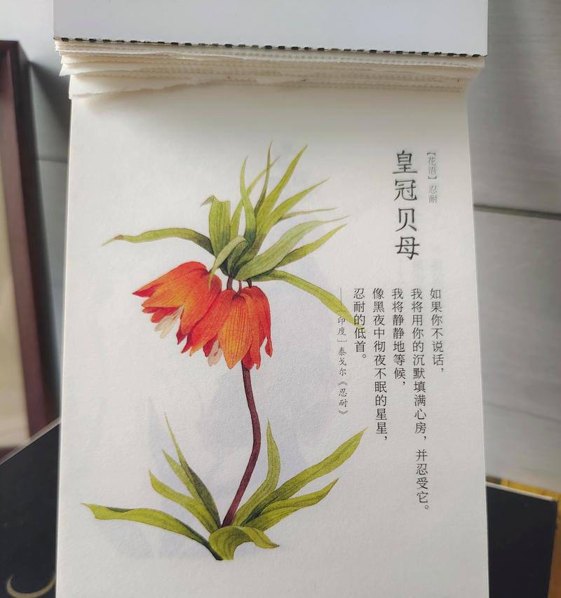 皇冠花语有何寓意？皇冠象征着什么？