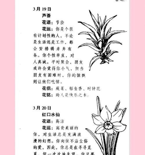 花语如何表达赞美？赞美之词的花语有哪些？