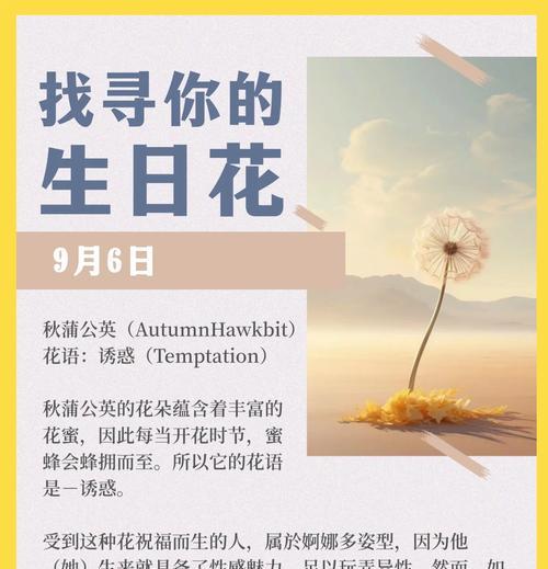 凋零蒲公英的花语是什么？蒲公英的花语有何深意？