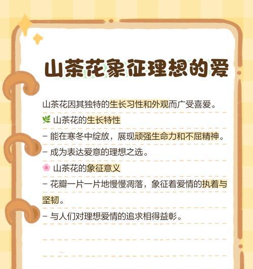 各种花的含义和花语是什么？如何解读不同花的花语？