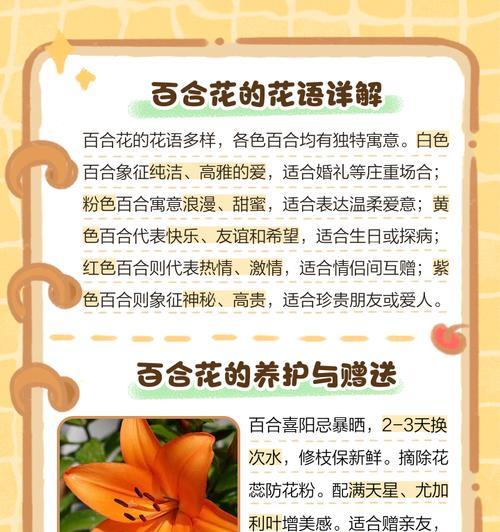 各种花的含义和花语是什么？如何解读不同花的花语？