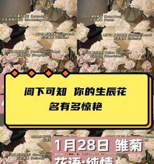 同学间送花的花语代表什么？有哪些特别含义？