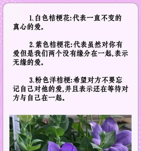 同学间送花的花语代表什么？有哪些特别含义？