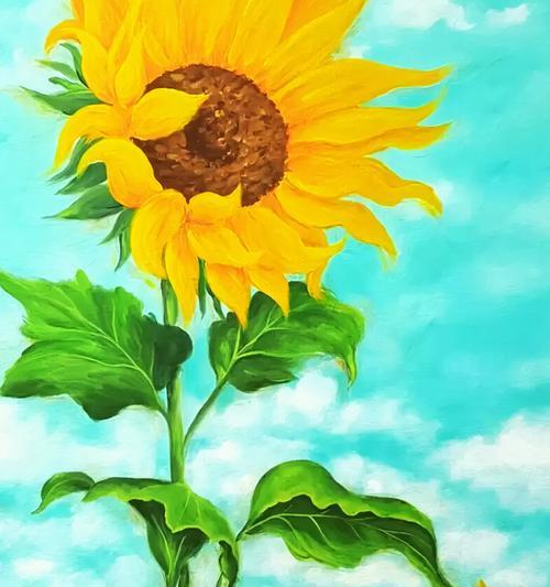 太阳花的花语是什么？它传递了哪些积极信息？