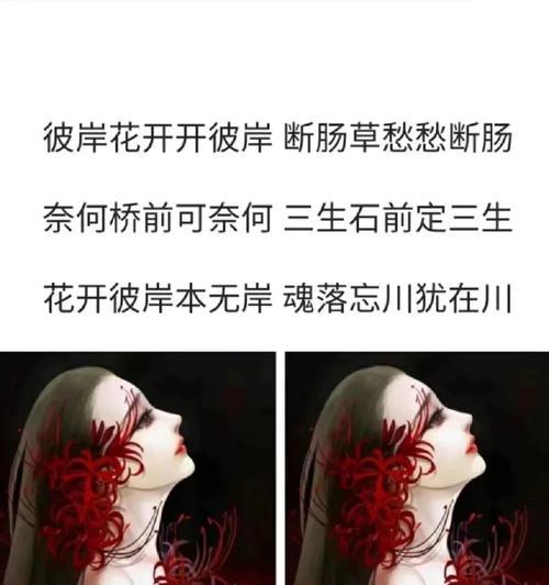 彼岸花的花语是什么？手绘彼岸花有哪些独特之处？