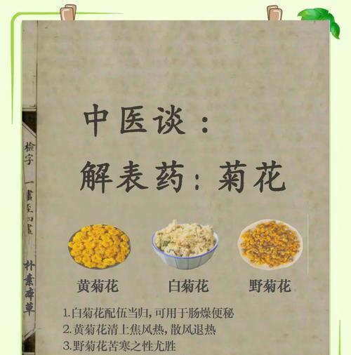 菊花和桔梗的花语分别是什么？它们有何不同？