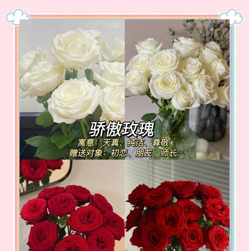 如何用花语表达未说出口的爱？有哪些花语适合？